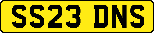 SS23DNS