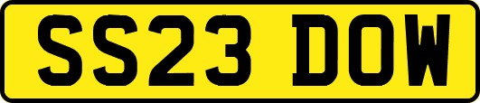 SS23DOW