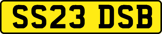 SS23DSB