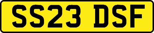 SS23DSF
