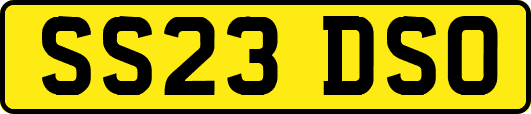 SS23DSO