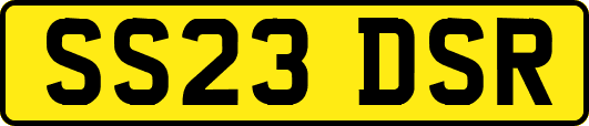 SS23DSR