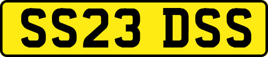 SS23DSS