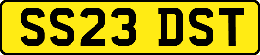 SS23DST