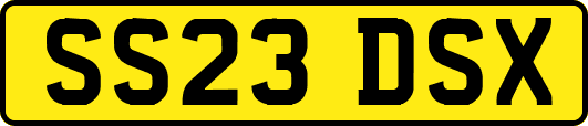 SS23DSX