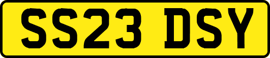 SS23DSY