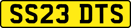 SS23DTS