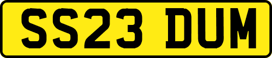 SS23DUM