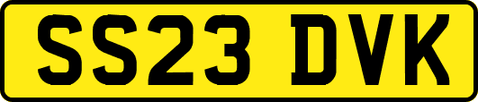SS23DVK