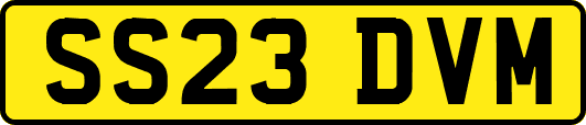 SS23DVM