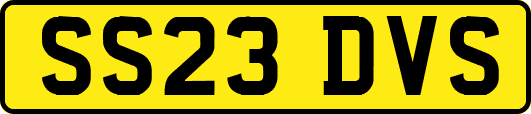 SS23DVS