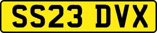SS23DVX