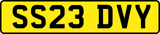 SS23DVY