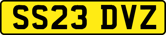 SS23DVZ