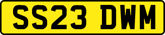 SS23DWM