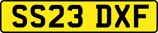 SS23DXF