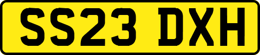 SS23DXH