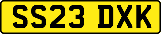 SS23DXK