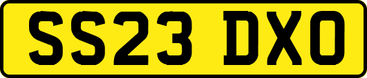 SS23DXO