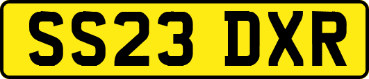SS23DXR