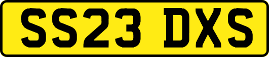 SS23DXS