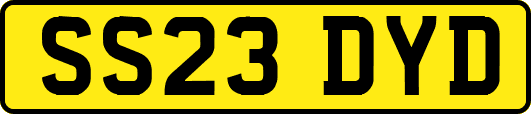 SS23DYD