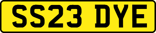 SS23DYE