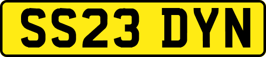 SS23DYN