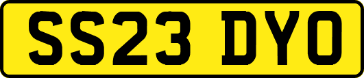 SS23DYO