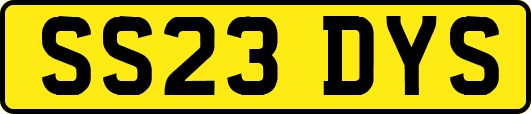 SS23DYS