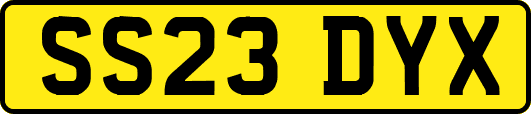 SS23DYX