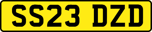 SS23DZD