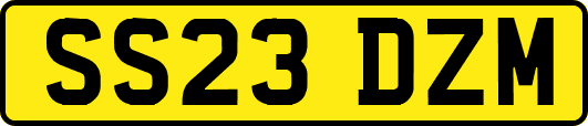 SS23DZM