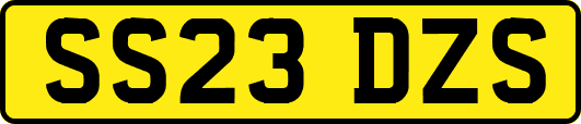 SS23DZS