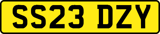 SS23DZY