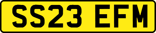 SS23EFM