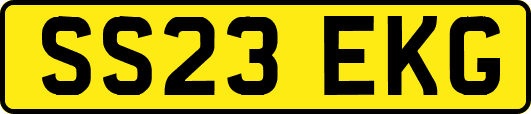 SS23EKG