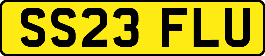 SS23FLU