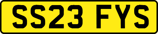 SS23FYS