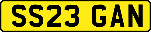 SS23GAN
