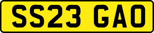 SS23GAO