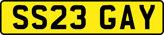 SS23GAY