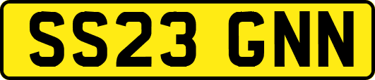 SS23GNN