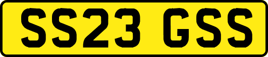 SS23GSS