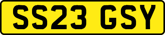 SS23GSY