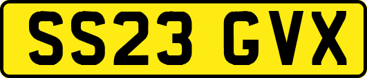 SS23GVX
