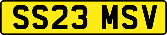 SS23MSV