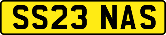 SS23NAS