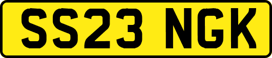 SS23NGK