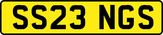 SS23NGS
